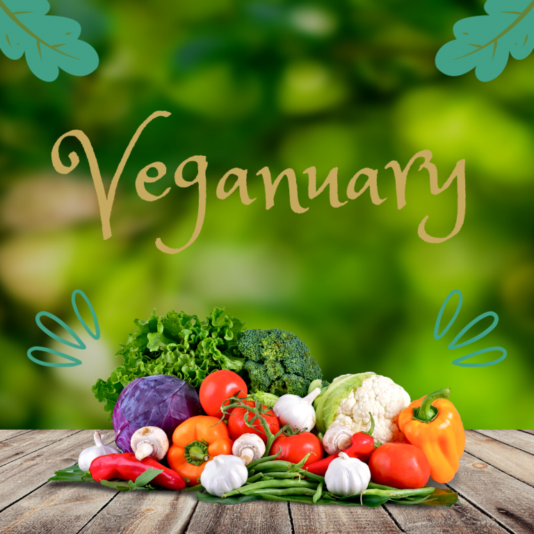 veganuary Chantelle Kitchener | Vegane Ernährungsberatung | Achim bei Bremen